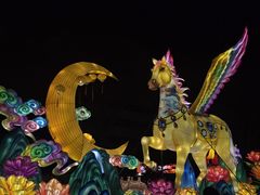 -金城公园