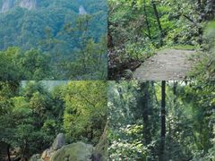 -铁山坪森林公园