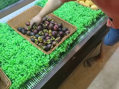 -东吴水韵(吴中店)