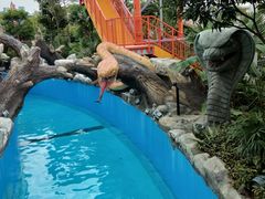 -厦门方特梦幻王国