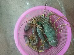 -班赞海鲜市场