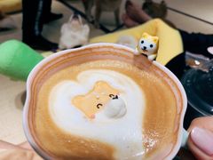 -逗柴咖啡屋·狗咖猫咖宠物桌游