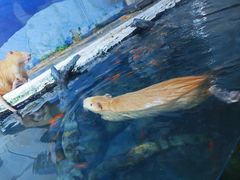 -左海海底世界