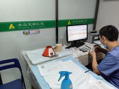 -半岛宠物医院24小时(科华中路店)