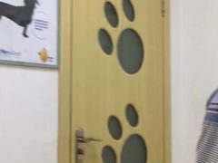 -创凡宠物医院·骨专科  猫科中心(西乡分院)