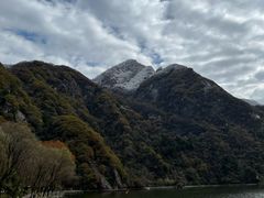 -朱雀国家森林公园