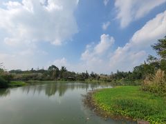 -桤木河湿地公园