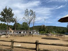 -大连森林动物园