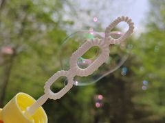 -长白岛森林公园