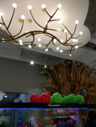 -可爱多国际儿童摄影会馆(龙泉店)