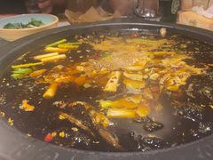 -费明中罗非鱼(大石坝店)