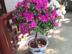 -汇龙潭