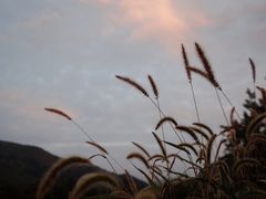-九宫山风景区