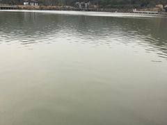-孙武文化园-停车场