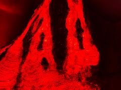 -安徽省地质博物馆