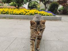 -郑和公园