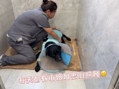 -北京派仕佳德动物医院·超导核磁·CT·神经科·骨科·内外科·急重症管理中心