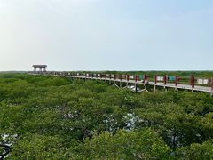 -北海金海湾红树林生态旅游区