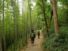 -上海佘山国家森林公园天马山园