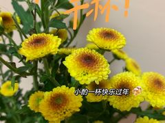 -宁波鄞州万达广场