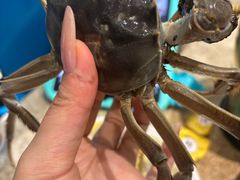 -初色海鲜自助(万丰路店)