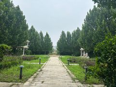 -马家湾湿地公园