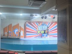-南昌海洋公园