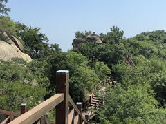 -大岭沟猕猴桃谷风景区