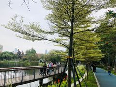 -四海公园(南山区)