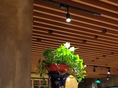 -俭朴菜(鲁磨路店)