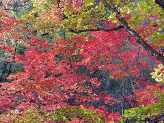 -关门山森林公园