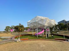 -春花秋色城市公园