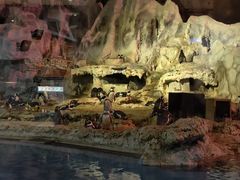 -帝企鹅自助餐厅•儿童岛•真企鹅(长隆企鹅酒店)