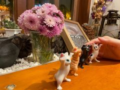 -饵块食光·云南有机手作饵块