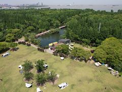 -上海滨江森林公园