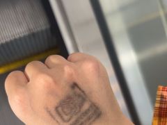 -圣淘沙天际线斜坡滑车