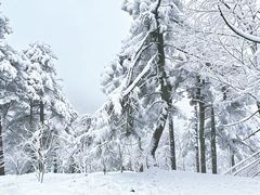 -四明山国家森林公园