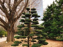 -北海道厅旧本厅舍(旧本庁舎)