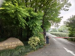 -十里琅珰