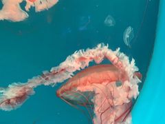 -多彩贵州城极地海洋世界