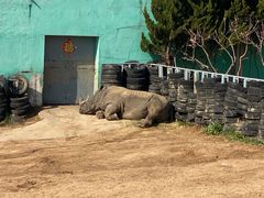 -西霞口神雕山野生动物世界