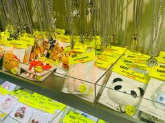 -HOWOW·D2Y(柏威年店)