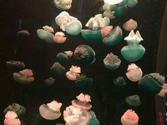 -多彩贵州城极地海洋世界