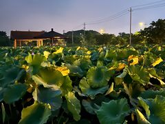 -梁鸿国家湿地公园