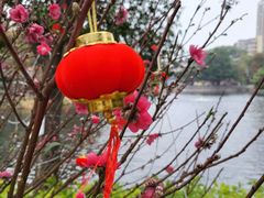 -荔湾湖公园