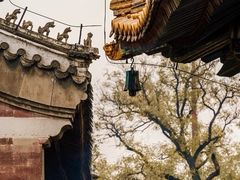 -雍和宫