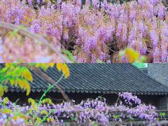 -老门东历史文化街区
