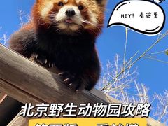 -北京野生动物园