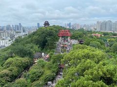 -黄鹤楼公园(黄鹤楼)