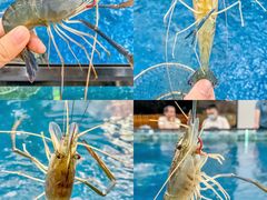 -SHRIMP CLUB万东餐饮钓虾·清吧